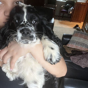 Meet your Posher, Nina